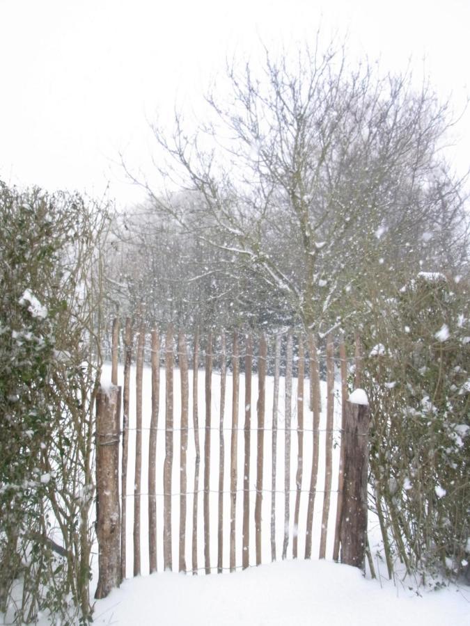 Gite Ardennais Rogery - Ya-At-Eeh Nasbas Gouvy Exterior photo
